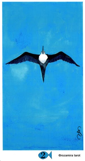 Hawaiian Aloha Tarot